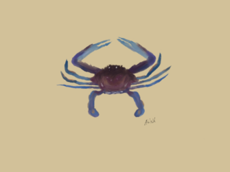 Cangrejos